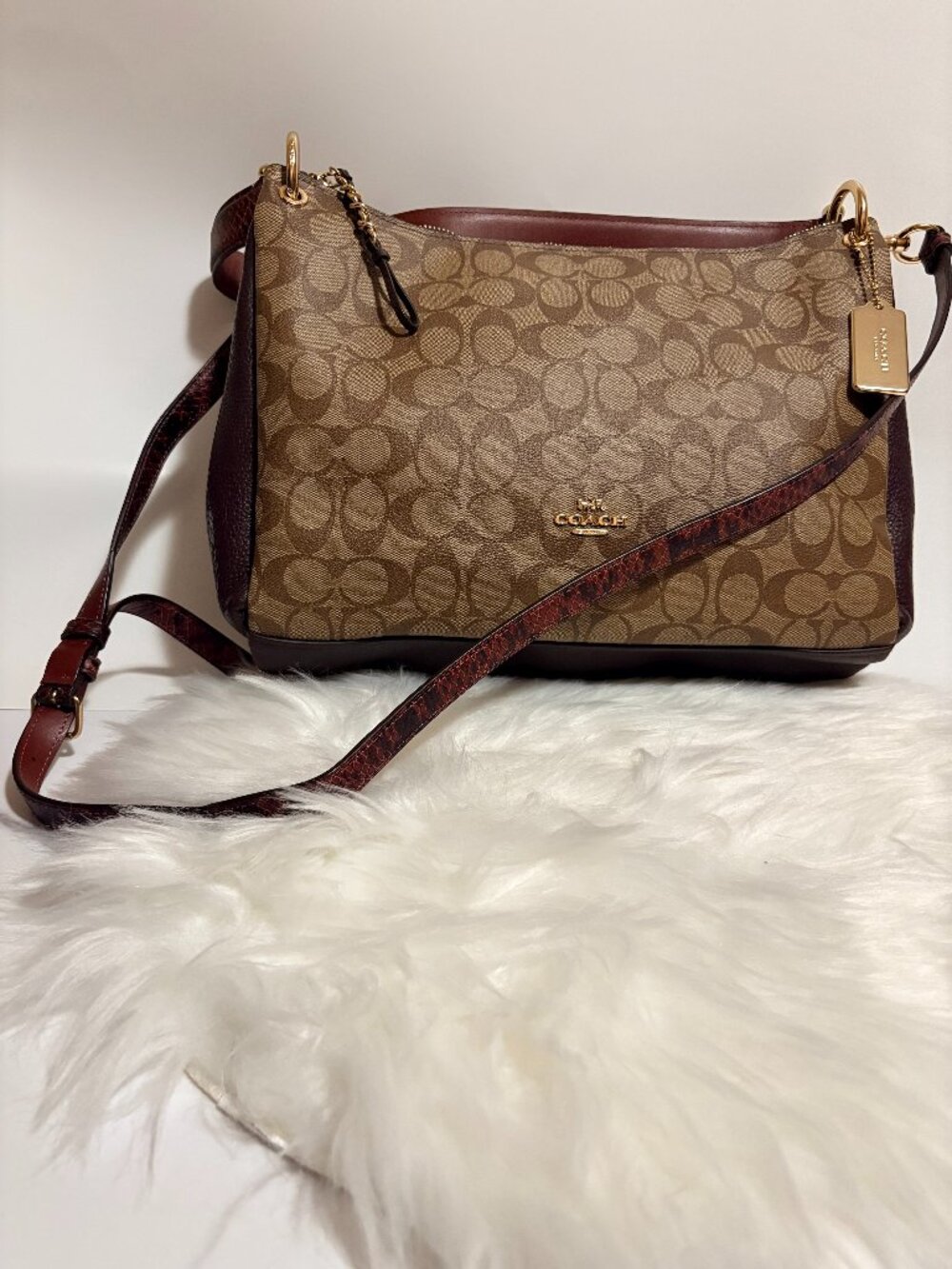 Coach Gallery Bag Signature Canvas Oxblood Leather Snake Trim Crossbody Bag